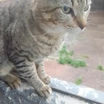 Día lluvioso pero no se suspende la salida a la vereda...