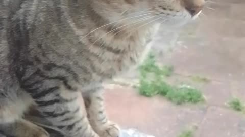 Día lluvioso pero no se suspende la salida a la vereda...