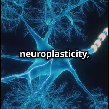 your brain is a supercomputer