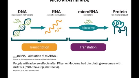 I vaccini mRNA COVID-19 possono modificare l'espressione del microRNA (miRNA).