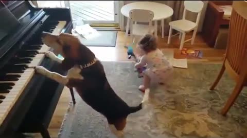We can learn a lot from our children and animals about how to enjoy the simple things in life...