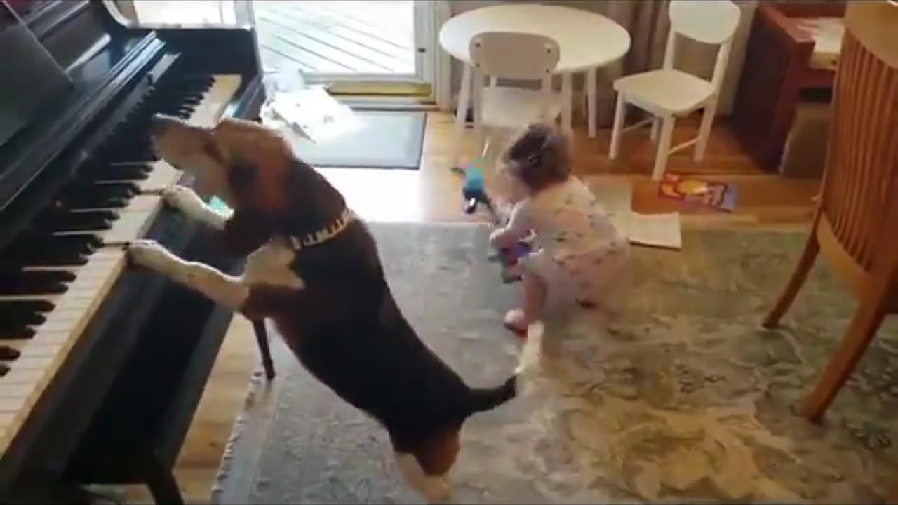 We can learn a lot from our children and animals about how to enjoy the simple things in life...