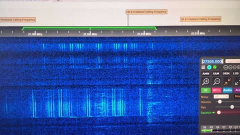 29.7415 Voice + Data Comms UNID Language Unknown User Via G8JNJ SDR 10 28 2025 []