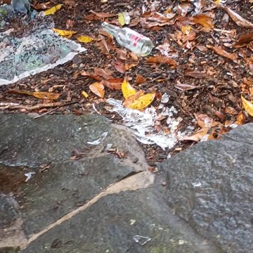 17.9.2025 The Aftermath