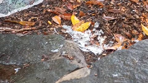 17.9.2025 The Aftermath