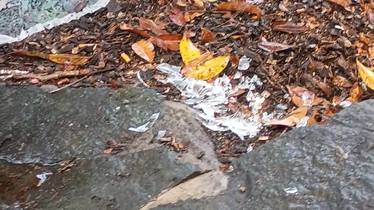 17.9.2025 The Aftermath