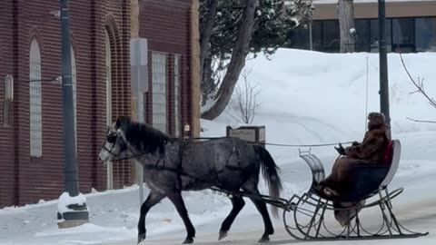 Santa Spotted Riding a Horse-Drawn Sleigh in Small Montana Town