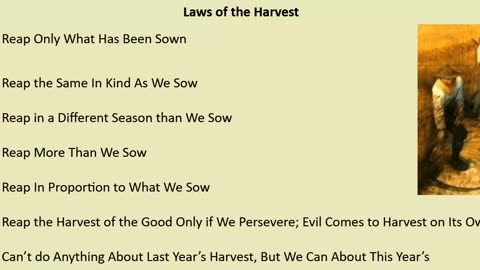 The 7 laws of The Harvest