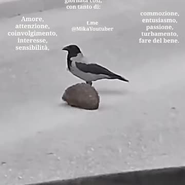 Secondo me lo sta aiutando...