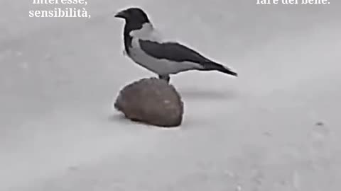 Secondo me lo sta aiutando...