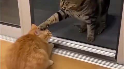 I opened the door and hit my head.🥹