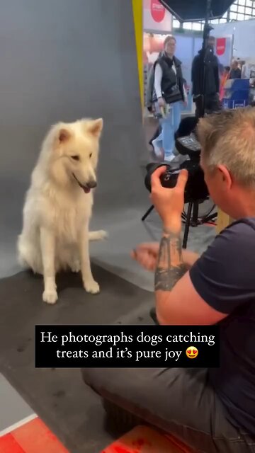 German photographer Christian Fiehler captured the hilarious