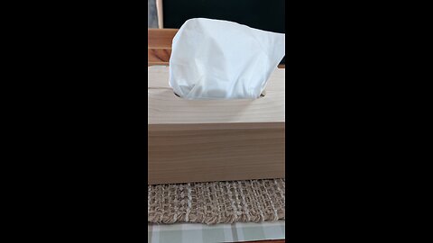 Make a Tissue Box With Me -1/14/25