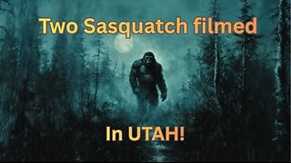 TWO SASQUATCH Filmed in Utah!! / KELLY SHAW & DUKE