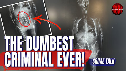 The Dumbest Criminal EVER! — Let's Talk About It!