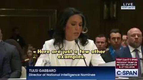 Tulsi Gabbard lays out a few home truths