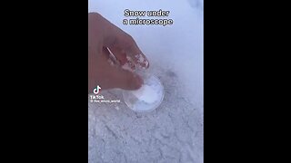 SNOW UNDER A MICROSCOPE, FULL OF PARASITES [When was video made?]