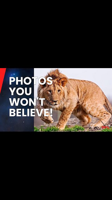 MIND-BLOWING! Rare Photos You WON'T Believe Are Real