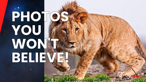 MIND-BLOWING! Rare Photos You WON'T Believe Are Real