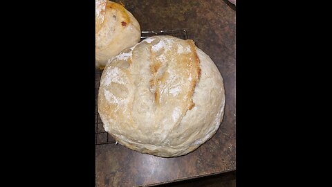 Sourdough in One Day