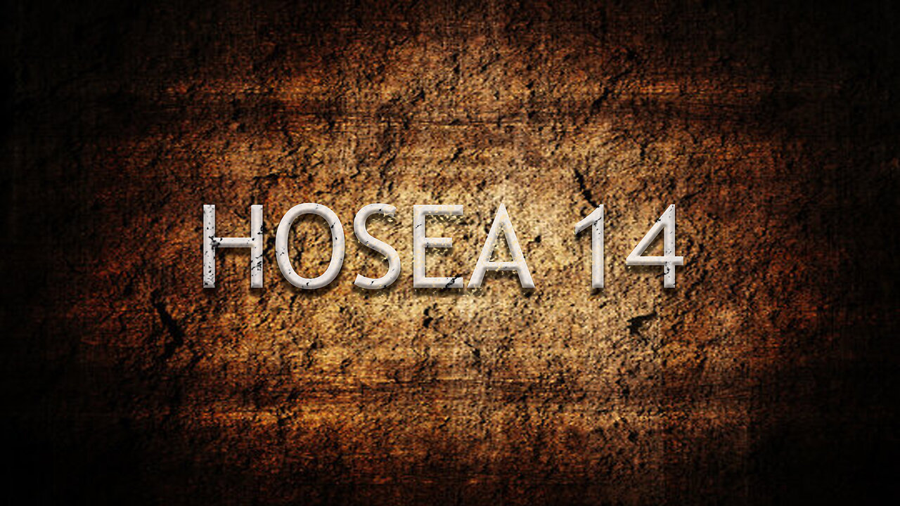 Hosea Chapter 14 | Pastor Anderson