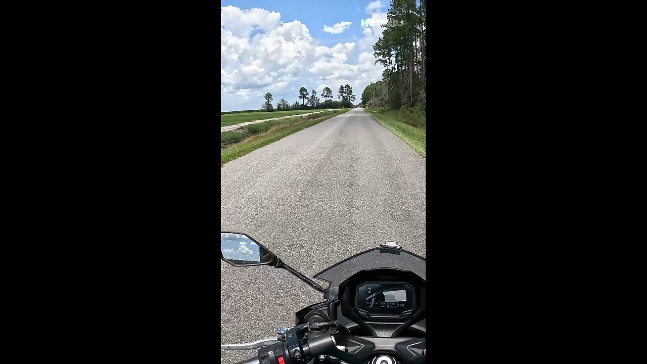 Social media is so weird 😵‍💫