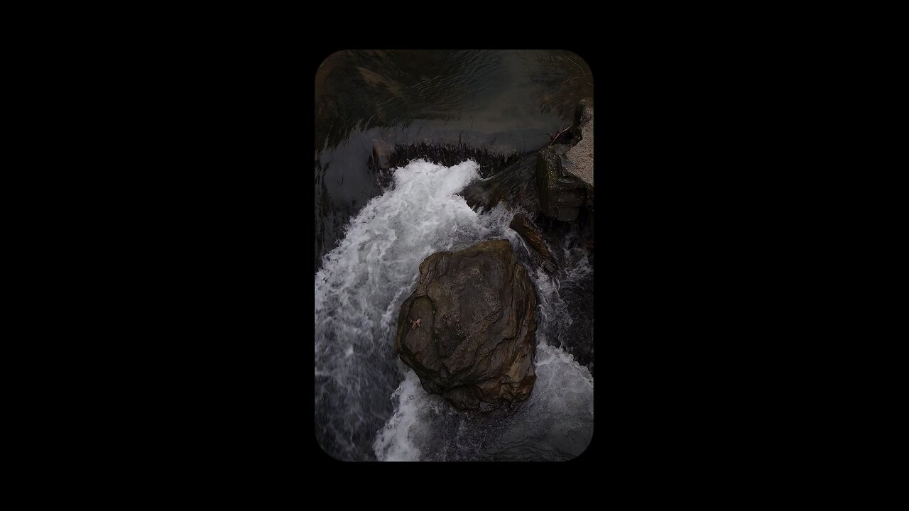 Live the nature
