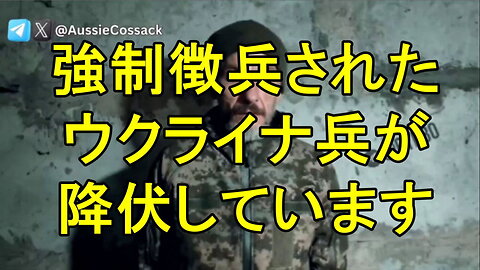 ウクライナ軍の約2個大隊が、1ヶ月でポクロフスク近郊で降伏しました！約700人のウクライナ兵が降伏しました。
