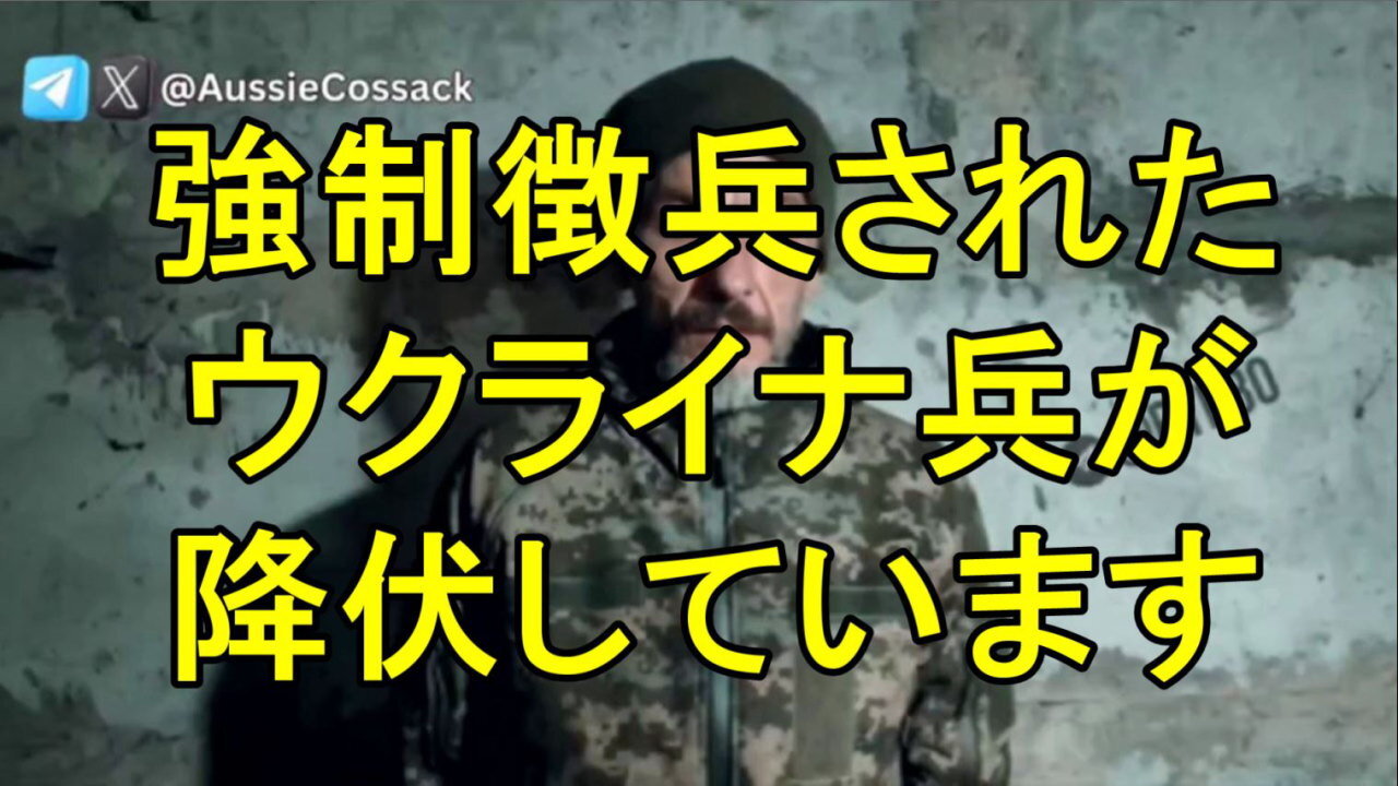 ウクライナ軍の約2個大隊が、1ヶ月でポクロフスク近郊で降伏しました！約700人のウクライナ兵が降伏しました。