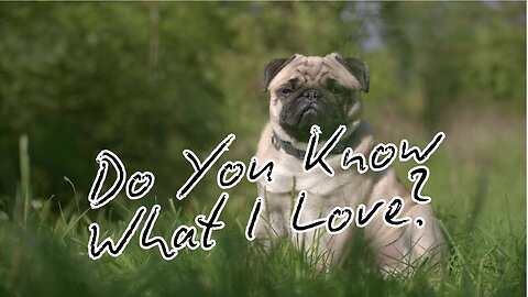 Do You Know What I Love?