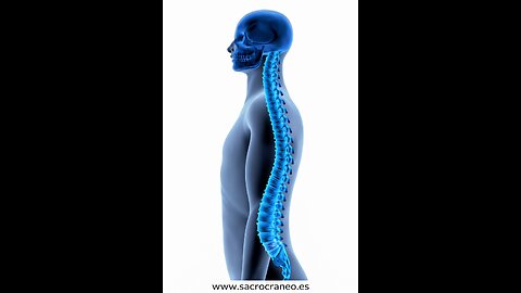 Cráneo-sacral. Módulo 3. Clase 6 y 7