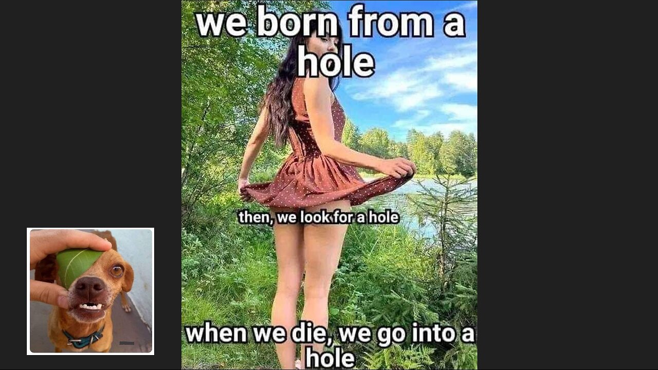 Memes That Will 99.0147% Make You Laugh. (e371)