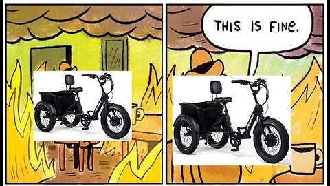 Pedego EV bike recalled