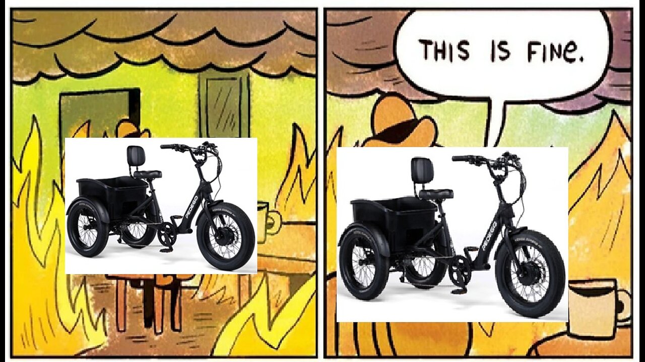 Pedego EV bike recalled