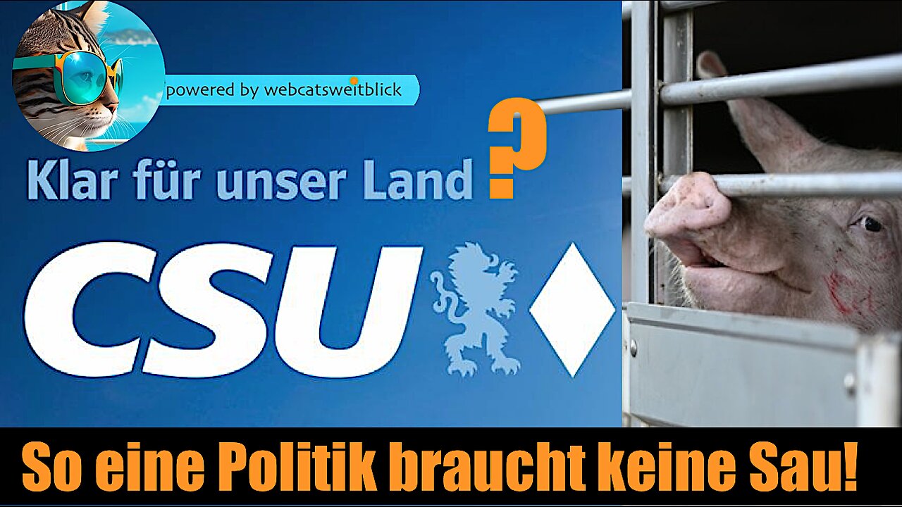 CSU - so eine Politik braucht keine Sau!