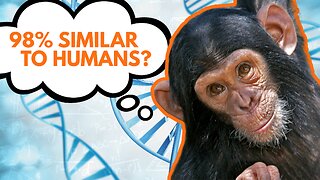The 98% Lie About Humans and Chimps | Eric Hovind & Dr. Jeffrey Tomkins | Creation Today Show #442