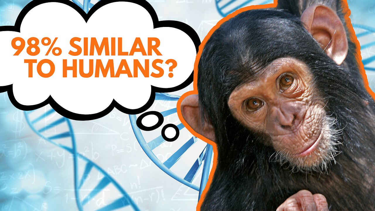 The 98% Lie About Humans and Chimps | Eric Hovind & Dr. Jeffrey Tomkins | Creation Today Show #442