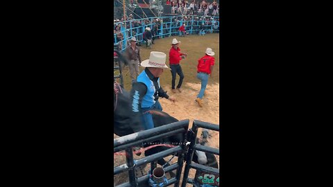 Bull Gone Wild: Shocking Moment a Bull Attacks the Crowd!"