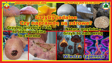 Grzyby jadalne Czy naprawdę są zdrowe Wiedza tajemna