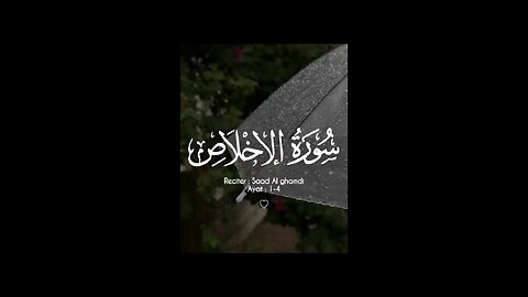 #القرآن_الكريم