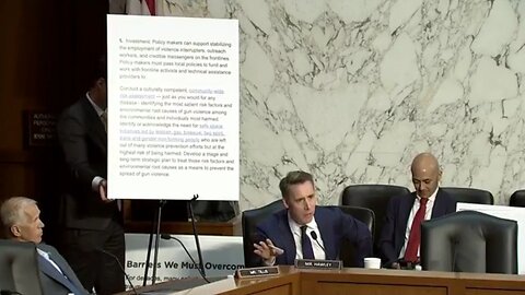 Sen Josh Hawley Goes Off On Former Biden Gun Violence Expert