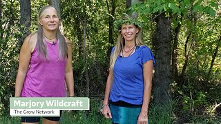 Foraging 101: Acorns are the easiest to ID, collect, and process