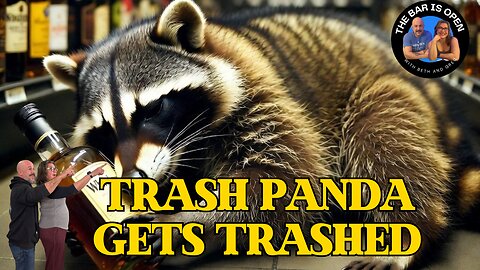 Trash Panda Got Trashed - TBIO 547