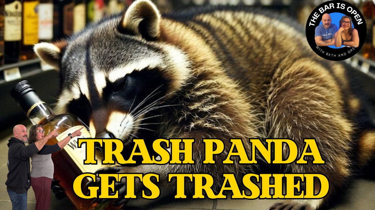 Trash Panda Got Trashed - TBIO 547