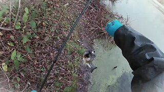 1 & Done No.28 " Colorado Bladed Spinnerbaits In Cold Water "