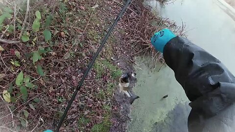 1 & Done No.28 " Colorado Bladed Spinnerbaits In Cold Water "