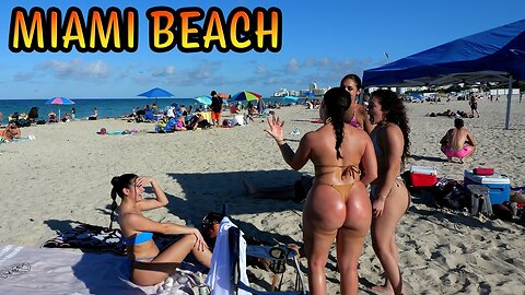 Miami Beach Walking Tour That Will Make You Want to Move Here