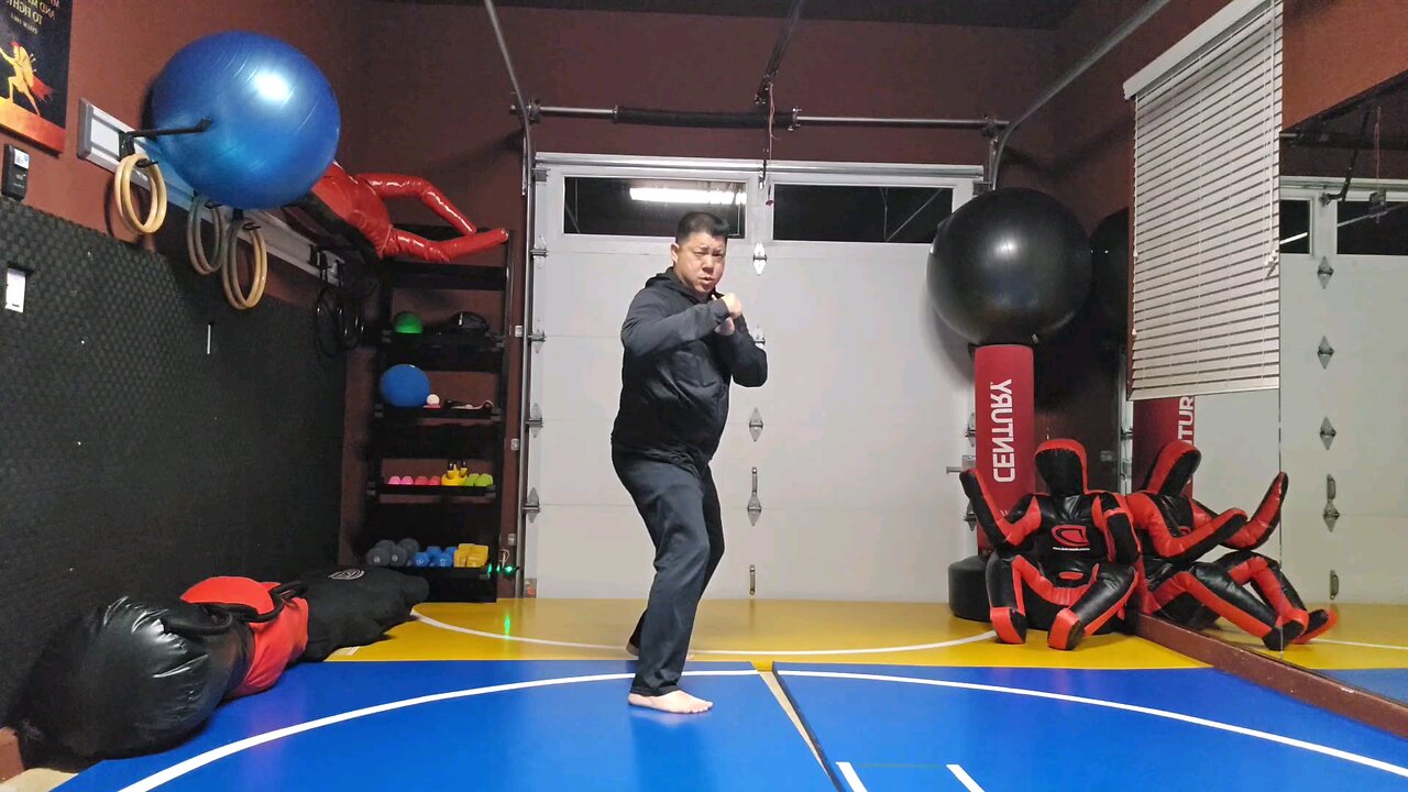 WTD 2 Step Kick Combination 37