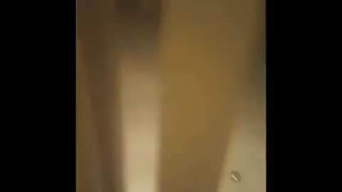 🤔👀 Unraveling the Mystery: Where Does This Creepy Footage Come From? | TheHauntingHour