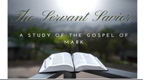 Getting the big picture, what is God doing in my life? Mark 8:1-21